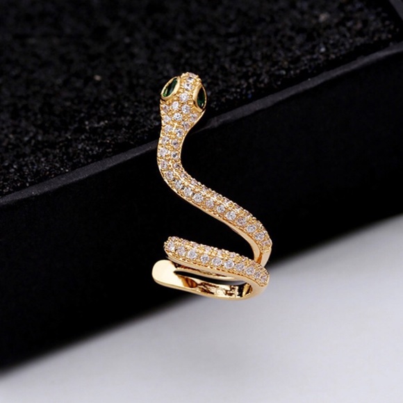 New! “Sneaky Serpent” Women’s Earrings - Picture 7 of 7